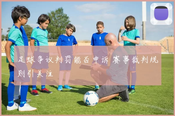 足球争议判罚能否申诉 赛事裁判规则引关注