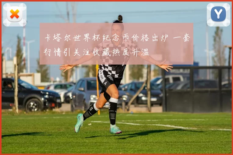 卡塔尔世界杯纪念币价格出炉 一套行情引关注收藏热度升温